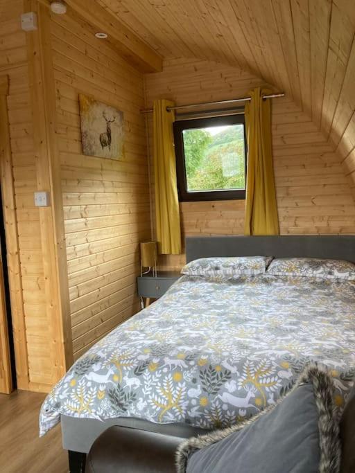The Fox'S Den, Luxury Cosy Mini Lodge, Highlands North Ballachulish Ngoại thất bức ảnh